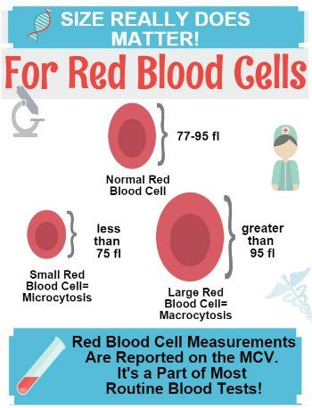 How Does A Simple Red Blood Cells Sample Determine anemia?